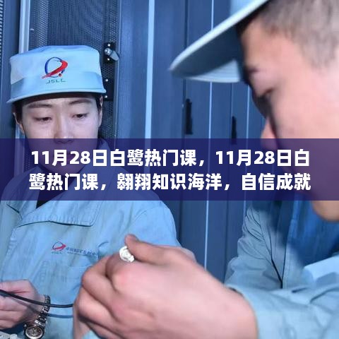 11月28日白鹭热门课程，翱翔知识海洋，塑造自信未来梦想