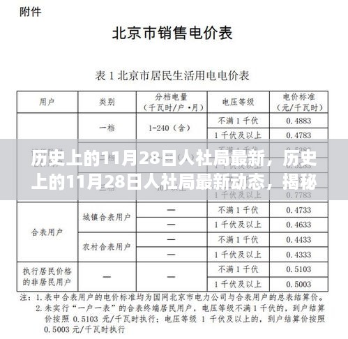 揭秘历史上的11月28日人社局最新动态，改变未来的重要时刻回顾