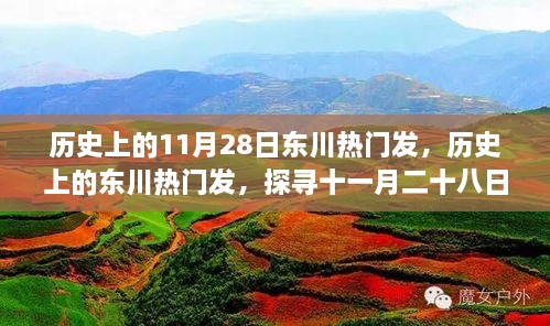 历史上的11月28日东川热门发，历史上的东川热门发，探寻十一月二十八日的辉煌印记