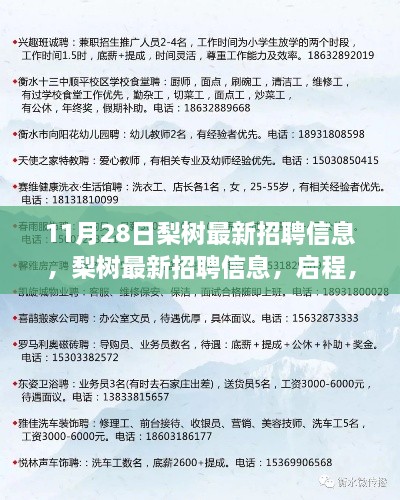 梨树最新招聘信息，启程探索自然美景的诗意之旅