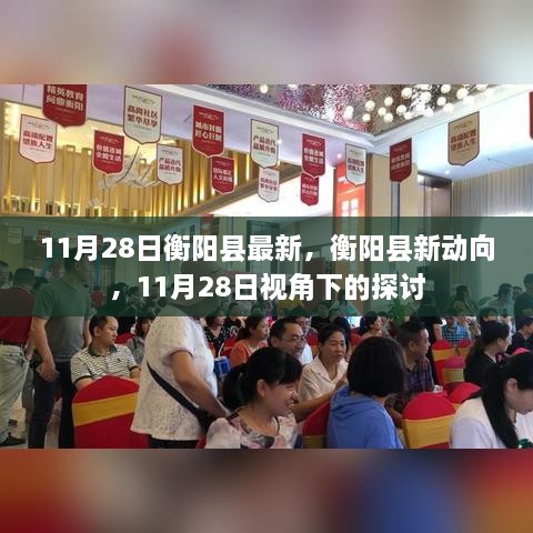 衡阳县新动向深度解读，11月28日视角下的最新进展