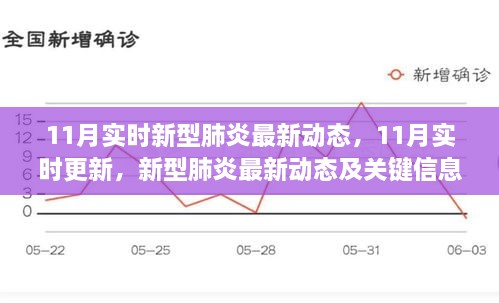 11月新型肺炎最新动态及关键信息解读实时更新