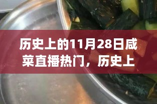 历史上的11月28日咸菜直播热门，历史上的11月28日，见证咸菜直播热门高科技产品的诞生与革新