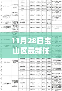 11月28日宝山区干部任免更新，流程详解与操作指南