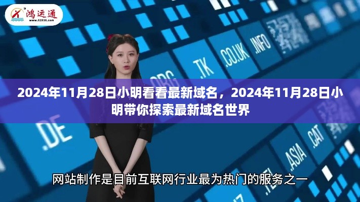 小明带你探索最新域名世界的奇妙之旅，2024年11月28日独家报道