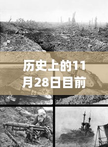 历史上的11月28日地震事件回顾与最新监测指南，从回顾到监测，全方位解读地震现象