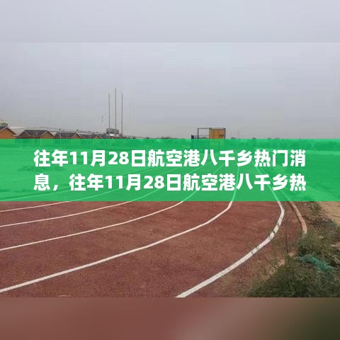 往年11月28日航空港八千乡热门消息全解读，掌握获取与解读信息的必备技能