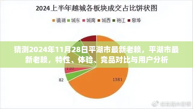 平湖市最新失信人员解析，特性、体验、竞品对比与用户洞察（预测至2024年11月）