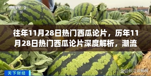 历年11月28日热门西瓜论片深度解析与潮流背后的故事探究