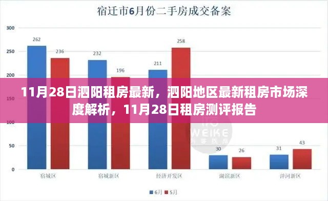 泗阳地区最新租房市场深度解析及测评报告（11月28日版）