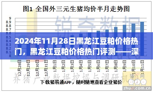 黑龙江豆粕价格热门解析，深度剖析豆粕特性、用户体验与目标用户群体分析报告