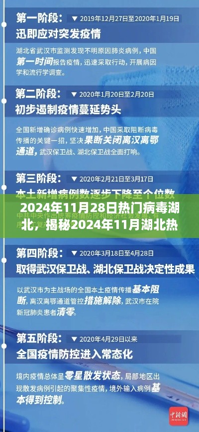 揭秘湖北热门病毒现象，传播特点、防控措施与公众关注焦点（2024年11月报告）