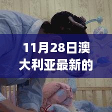 11月28日澳大利亚最新的政策，澳大利亚新政策启航日，变化中的学习，自信与成就感的源泉