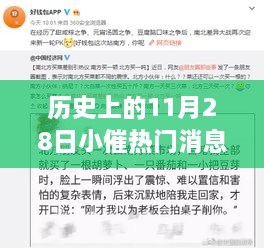 历史上的11月28日，小催热门消息回顾