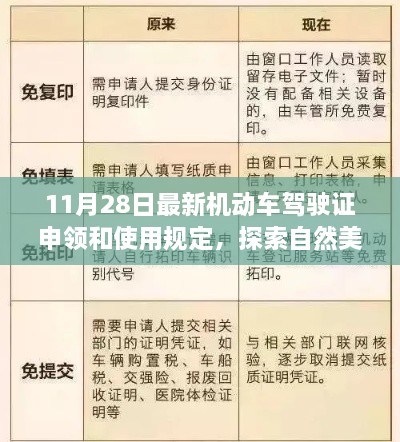 探索自然美景的心灵之旅，最新机动车驾驶证申领和使用规定解读