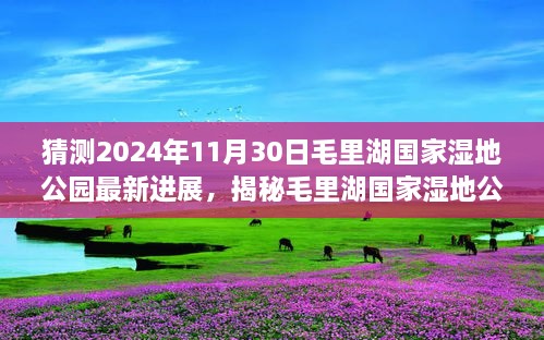 猜测2024年11月30日毛里湖国家湿地公园最新进展，揭秘毛里湖国家湿地公园，2024年最新进展展望