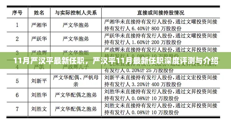 严汉平最新任职深度解析与介绍，揭秘其11月新职务的机遇与挑战