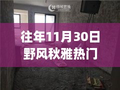 往年11月30日野风秋雅热门房价，野风秋雅深处的宝藏，揭秘隐藏在小巷中的特色小店与往年热门房价盛景