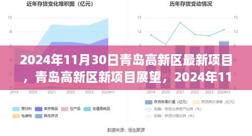 青岛高新区新项目展望，机遇与挑战并存，聚焦未来创新机遇（2024年11月30日）