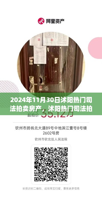 2024年11月30日沭阳热门司法拍卖房产抢拍指南，最新房源大揭秘