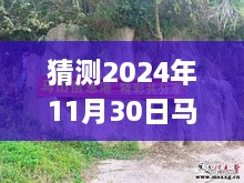 揭秘未来，马山县石丰村2024年11月30日最新动态展望指南