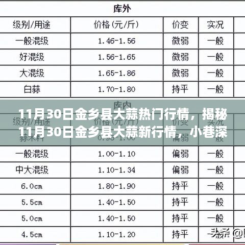 揭秘金乡县大蒜最新行情，小巷深处的独特风味大蒜（11月30日）