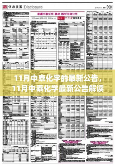 11月中泰化学最新公告详解与执行指南，初学者与进阶用户必读