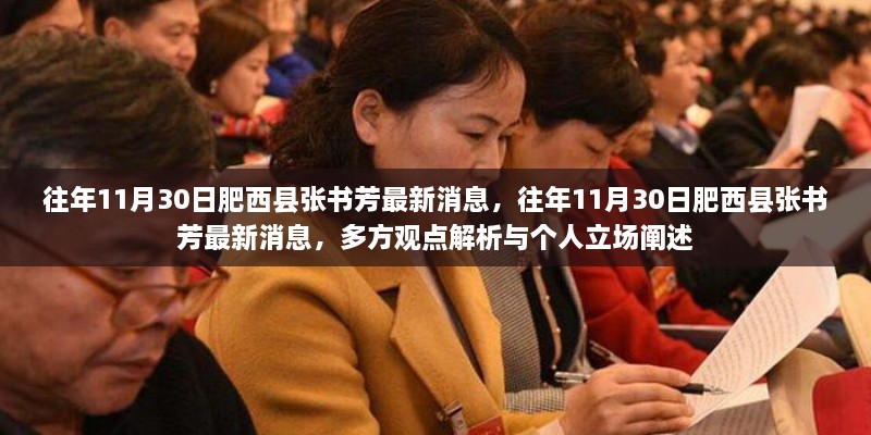 肥西县张书芳最新消息汇总，多方观点与个人立场解析