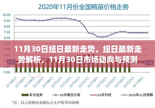 11月30日纽日走势深度解析及市场动向预测