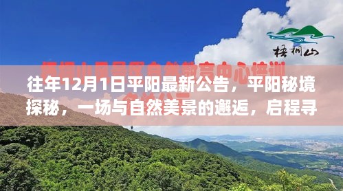 平阳秘境探秘之旅，与自然美景的邂逅，寻找宁静之地启程