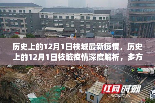 历史上的12月1日枝城疫情深度解析，多方观点碰撞与个人立场阐述