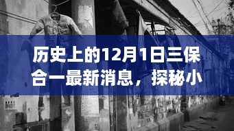 历史上的12月1日三保合一揭秘，最新消息与小巷深处的独特风味