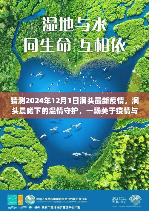 洞头晨曦下的温情守护，疫情与友情的日常故事预测至2024年12月1日