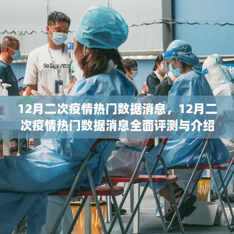 12月二次疫情热门数据全面解析与介绍