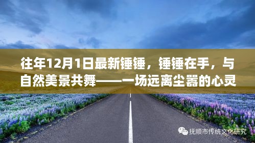 往年12月1日最新锤锤，与自然共舞的心灵之旅