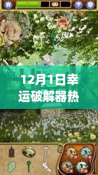 12月1日幸运破解器中文版，解锁自然之美的犯罪风险探讨