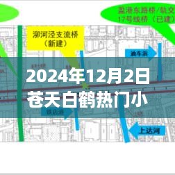 苍天白鹤奇幻巅峰之作，2024年热门小说瞩目之作