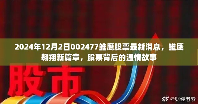 雏鹰翱翔新篇章，揭秘股票背后的温情故事与最新动态