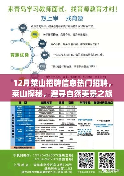 莱山招聘热潮与探秘自然美景之旅，追寻内心宁静与理想工作