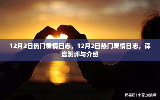 12月2日热门爱情日志深度测评与介绍