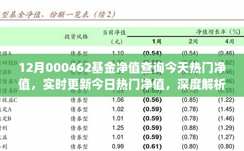 12月000462基金净值查询今天热门净值，实时更新今日热门净值，深度解析12月000462基金净值查询