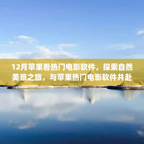 12月苹果看热门电影软件，探索自然美景之旅，与苹果热门电影软件共赴宁静的十二月角落