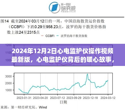 2024年12月3日 第8页