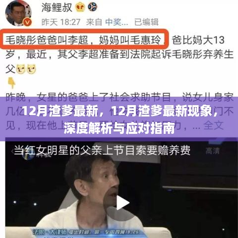 深度解析与应对指南，12月渣爹最新现象观察