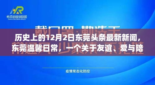 东莞头条新闻，友谊与爱在冬日绽放——十二月二日的温馨日常故事