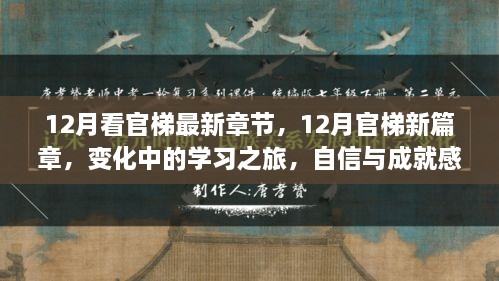 12月官梯新篇章，学习之旅的变化与自信成就之源