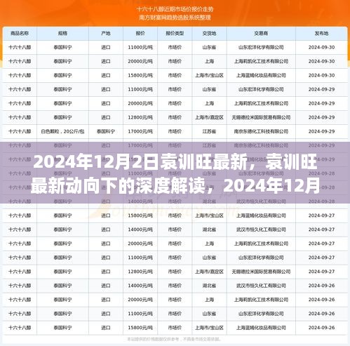 袁训旺最新动向深度解读，观点探析与深度观察（2024年12月2日）