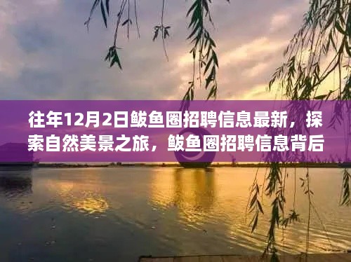 揭秘鲅鱼圈招聘信息背后的自然美景之旅，宁静秘境等你来探索