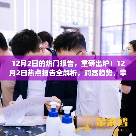 重磅热点报告解析，洞悉趋势，掌握未来（12月2日版）