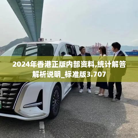 2024年香港正版内部资料,统计解答解析说明_标准版3.707